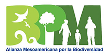Logo for BPM