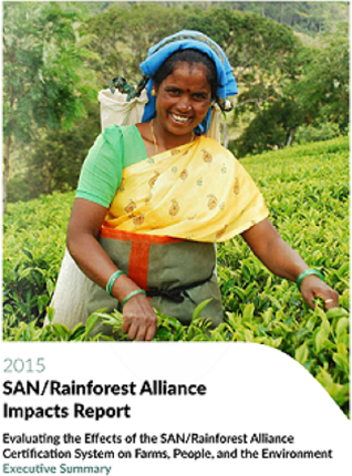 Nuevo reporte revela los impactos de la certificación SAN/Rainforest Alliance