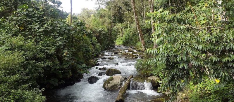 El Consejo Internacional de Coordinación del Programa de la UNESCO sobre el Hombre y la Biosfera añadió hoy 23 nuevas reservas, incluyendo 3 en nuestra región