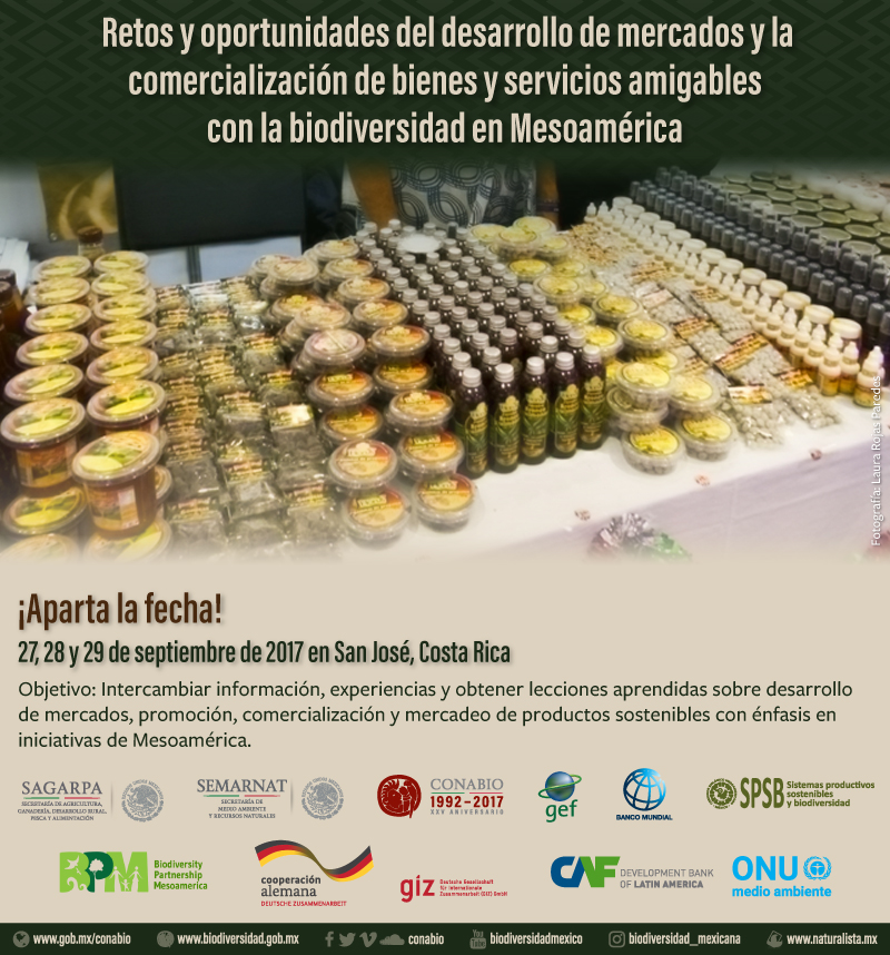 Empresas y organizaciones compartirán lecciones aprendidas en el desarrollo de mercados para productos sostenibles en Mesoamérica