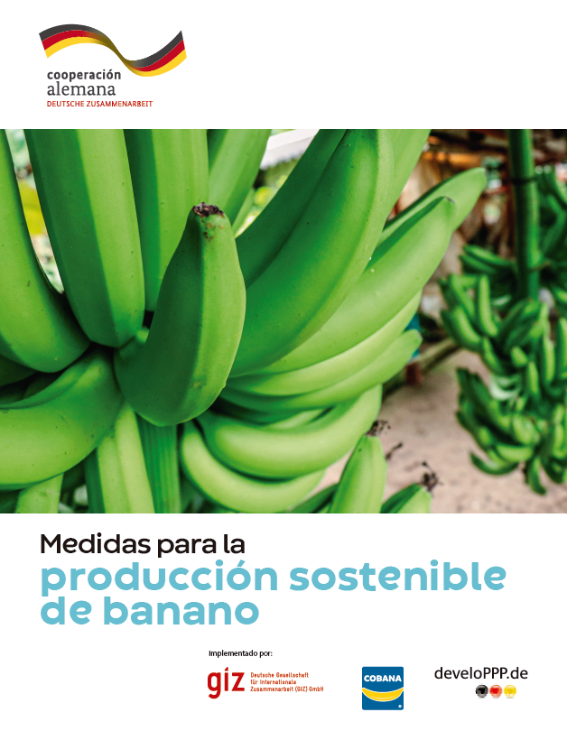 Medidas para la producción de banano sostenible