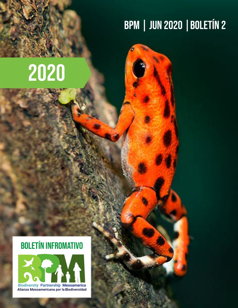 Biodiversity Partnership Mesoamerica (BPM) - II Boletín 2020