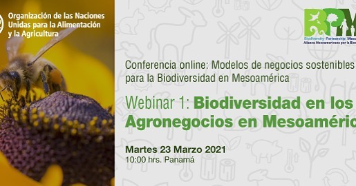 Webinar 1: Biodiversidad en los Agronegocios en Mesoamérica