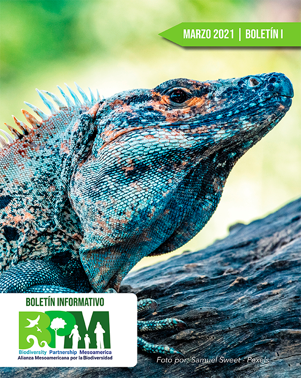 Biodiversity Partnership Mesoamerica (BPM) - I Boletín Trimestral 2021