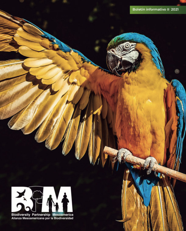 Biodiversity Partnership Mesoamerica (BPM) - II Boletín Trimestral 2021