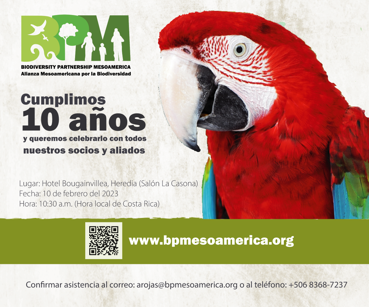 Invitación 10mo Aniversario BPM - 2023