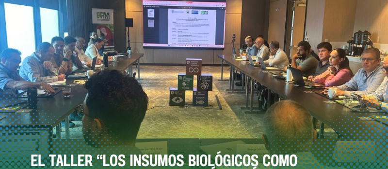 Logros del taller “Los insumos biológicos como alternativa en la producción agrícola y la conservación de suelos”, auspiciado por FAO, SECAC y BPM.