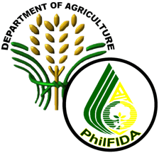 logo1