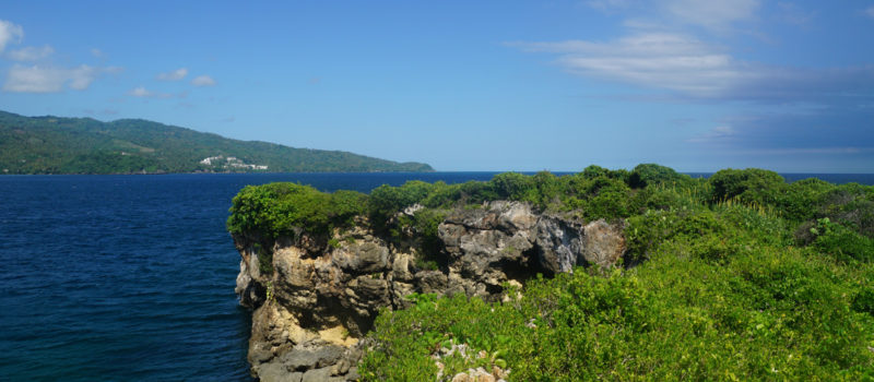 Contribución del sector turístico para la restauración y protección de la diversidad biológica marina y costera del mar Caribe