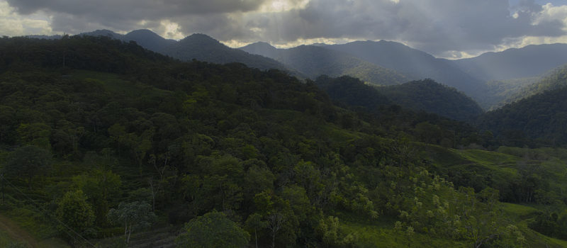 Ruta ecológica