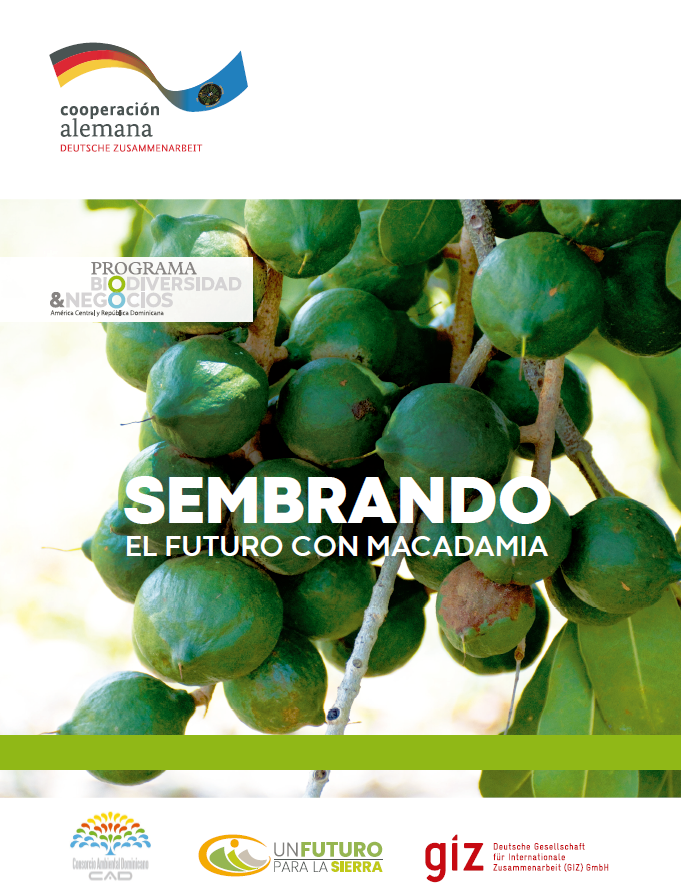 Corporación Agrícola La Loma: Sembrando el futuro con macadamia