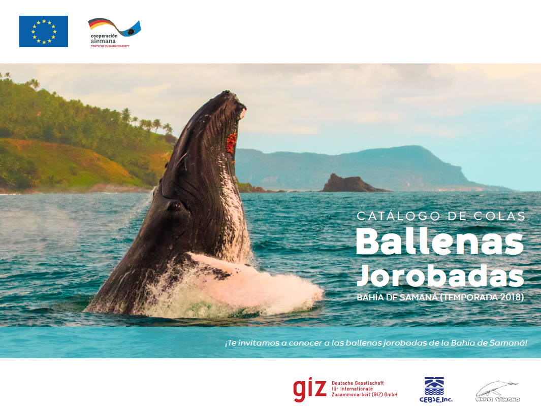 Catálogo de colas ballenas jorobadas Bahía Samaná (Temporada 2018)