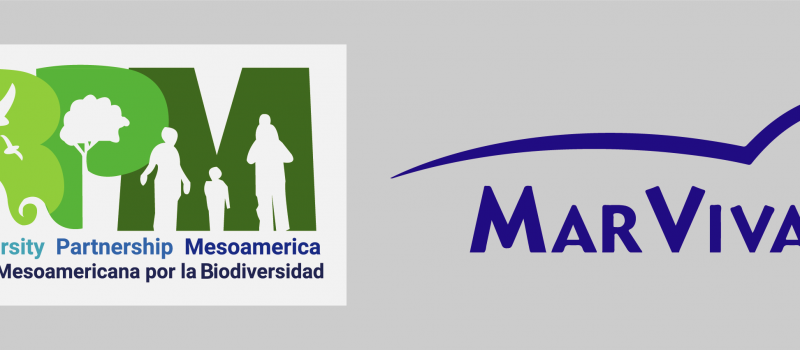 Comunicado Oficial: BPM firma Convenio de Cooperación con MARVIVA