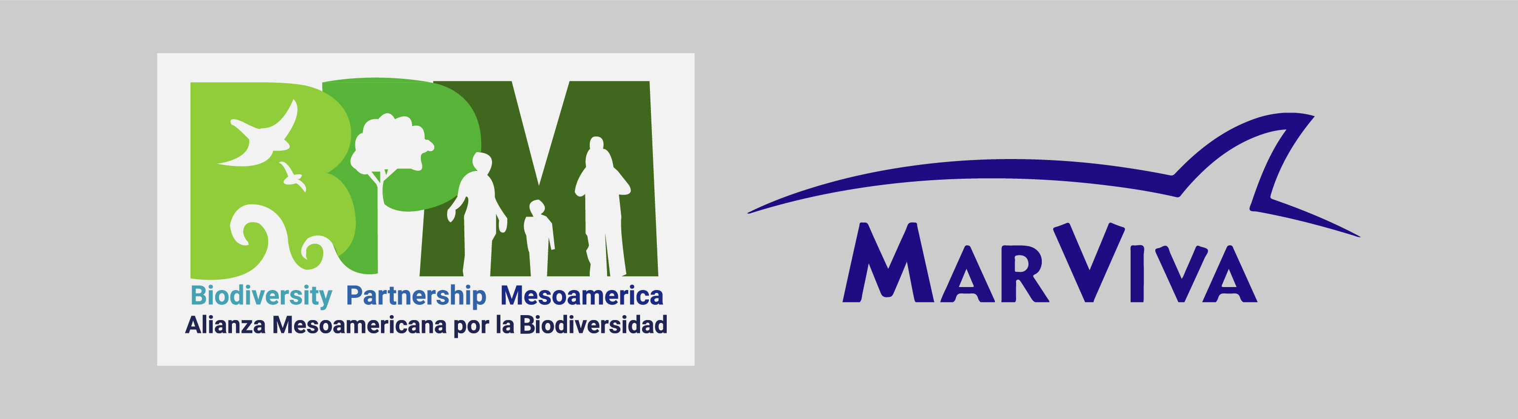 Comunicado Oficial: BPM firma Convenio de Cooperación con MARVIVA