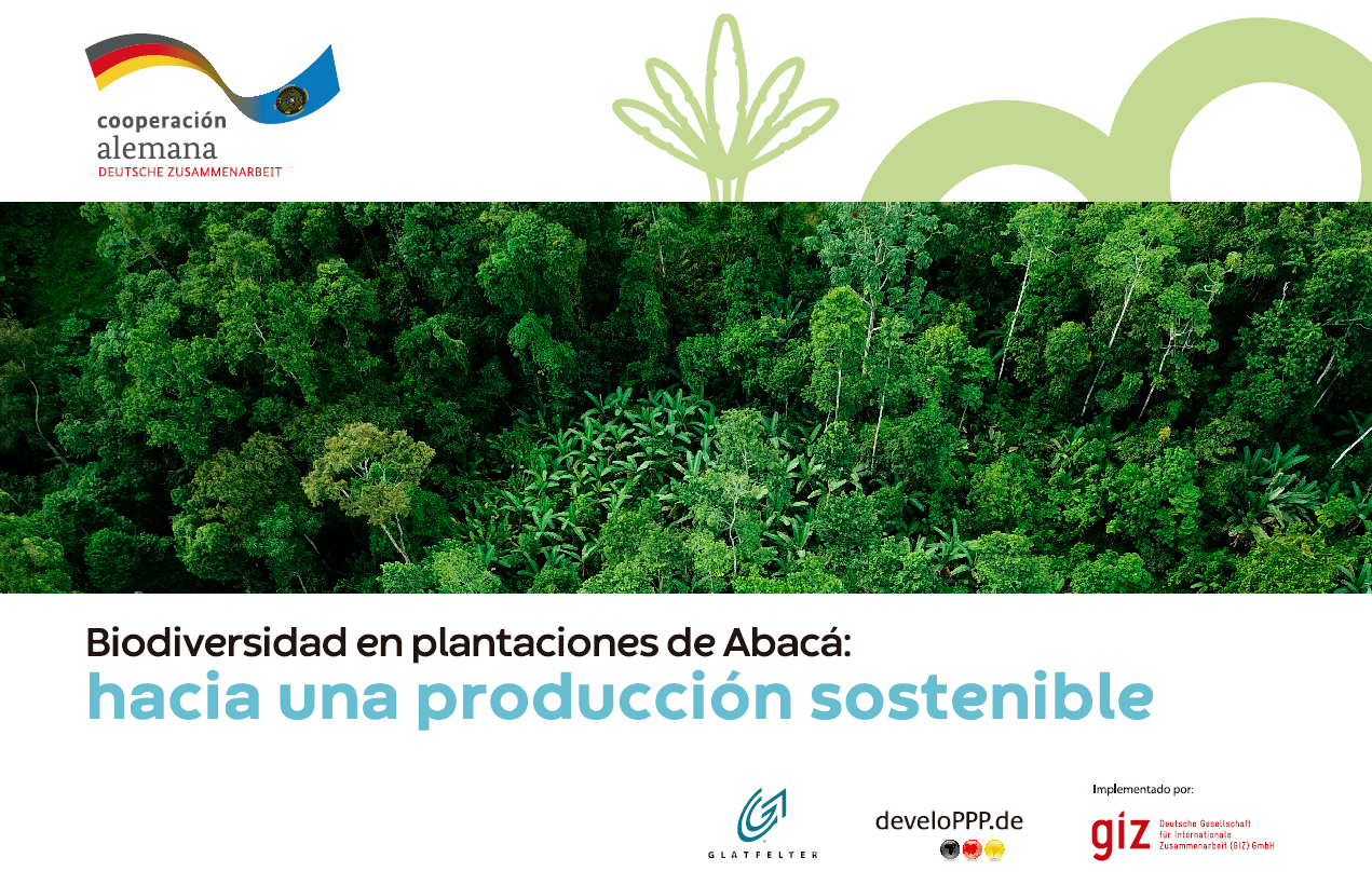 Biodiversidad en plantaciones de abacá: hacia una producción sostenible