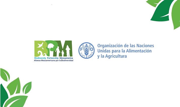 FAO y BPM firman colaboración para promover involucramiento del sector privado en la  transformación de los sistemas alimentarios