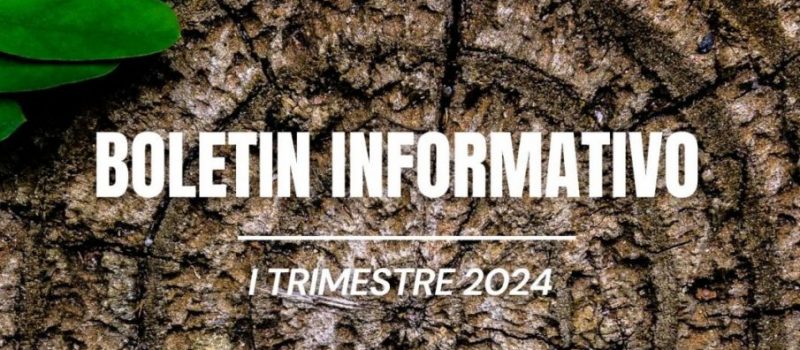 Boletín Informativo I Trimestres 2024